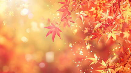 Fototapeta premium A leafy tree with orange leaves
