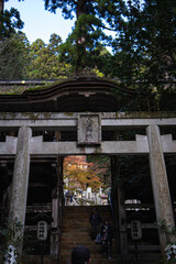 Trilha no Monte Kurama coberta por folhas de outono no Jap&atilde;o