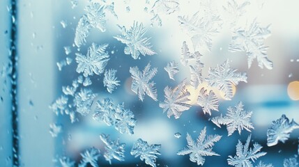 Elegant snowflakes form intricate patterns on a window, each unique crystal catching the gentle morning light.