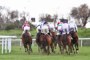 Caballos purasangre de carreras Turf con sus jockeys y chaquetillas de colores en plena curva de espaldas sobre pista de hierba con terreno pesado de un hip&oacute;dromo 
