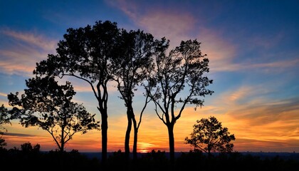 Silhouette of trees against a colorful sunset