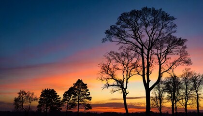 Silhouette of trees against a colorful sunset
