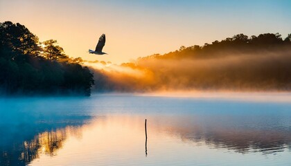 Bird flying over a still lake at sunrise