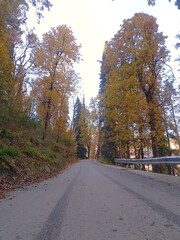 Obraz premium Nature beauty -Murree Pakistan 