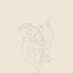 A minimalist line drawing of a lily of the valley.  Elegant botanical artwork in a vintage style. Suitable for logos, packaging, greeting cards, and interior decor.