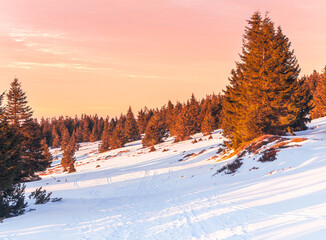 Eastern Sudetes winter landscape in the mountains, snow-covered meadow with dense forest on the edge of the clearing. View from a mountain hiking trail at sunset.