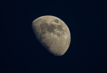 Mond