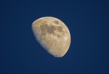 Mond