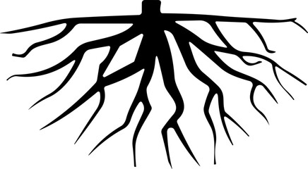 Tree root silhouette icon vector. Taproot and fibrous root system plant, realistic black roots illustrations.