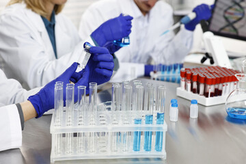 Scientists working with samples at table in laboratory, closeup
