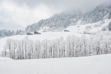 Winter landscape with snowy trees, view during mountain hike on hiking trail. Winter day with cloudy and foggy weather.