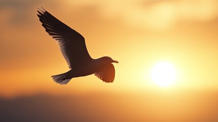 A seagull elegantly soars at sunset, silhouetted against a golden sky, embodying freedom and grace.