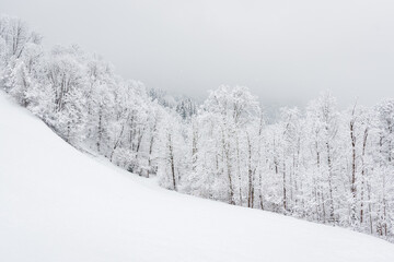 Winter landscape with snowy trees, view during mountain hike on hiking trail. Winter day with cloudy and foggy weather.