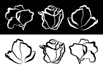 Elegant flowers. Cutie flowers. Vector illustration for yours list, postcard, card