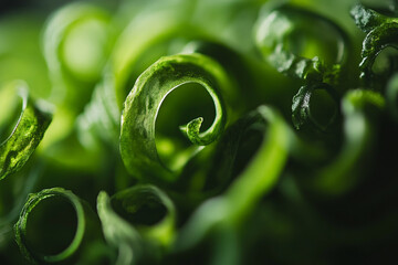 Closeup of fresh green onion rings natural texture background food leaf macro plant image photo