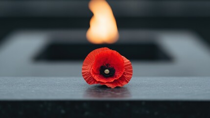 Red poppy flower lies at war memorial with eternal flame burning