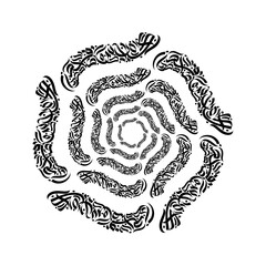 abstract  arabic calligraphy islamic illustration