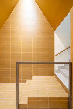 Sustainable modern interior with vibrant colors in architecture