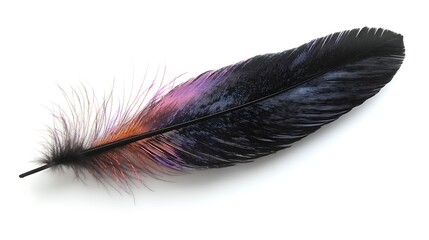 Luxurious black feather quill dipped in iridescent ink with a minimalist white setting