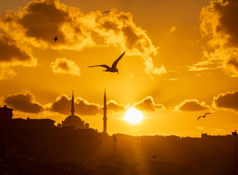 Sunset over Istanbul with iconic skyline and flying birds