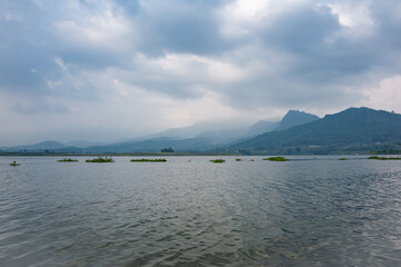 floating plants at sunset on Lake Selorejo, Banu, Banturejo, Ngantang, Malang Regency, East Java, Indonesia