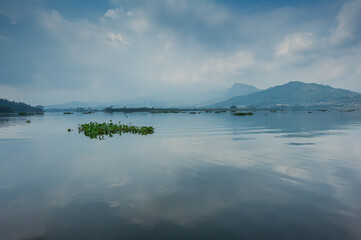 Floating algae, mist on the mountains and reflections in Selorejo Lake, Banu, Banturejo, Ngantang, Malang Regency, East Java, Indonesia