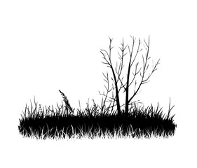 abstract grass and tree. hand drawing. Not AI Vector illustration