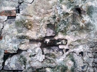 Fototapeta premium old, time-worn brick wall | background, texture