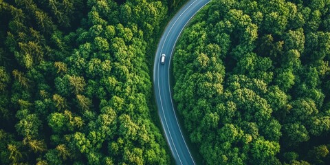 Aerial View of Curved Road in Forest