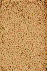 A top-down, close-up shot of a mass of green lentils, showcasing their texture and color