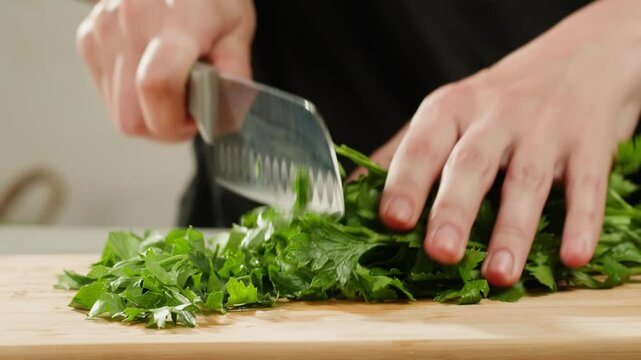 Cilantro parsley cutting by knife close up, chef chop cut coriander aromatic, traditional asian and Mexican cuisine herb studio shot.