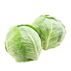 Obraz premium Fresh cabbage on a white background showcasing vibrant green leaves and firm texture, Fresh cabbageisolated on white background