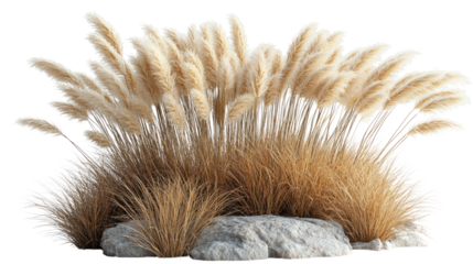 Pampas Grass Elegance: A cluster of pampas grass with fluffy plumes nestles among rocks, creating a textural contrast. The sunlight catches the delicate fibers.