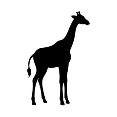 Fototapeta premium a black silhouette of a giraffe against a simple backdrop, showcasing its tall stature and distinctive shape