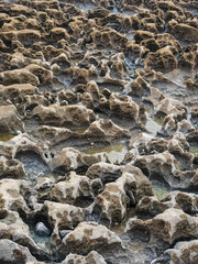 A rocky shoreline with a variety of textures and shapes. The rocks are jagged and rough, with some appearing to be covered in moss. The water is calm and clear, reflecting the surrounding landscape