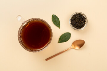 Cup of tea with dry and fresh leaves on color background, top view
