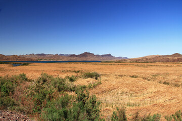 View of Lake Havasu and Colorado River near Lake Havasu City, Arizona, USA with view of California and blue sky copy space.