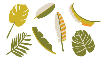 Collection de feuilles et plantes tropicales et exotiques - illustration vectorielle color&eacute;e 
