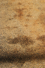 sandy driveway