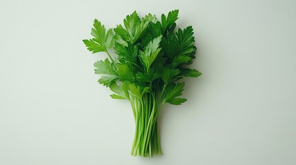 A Bunch of Fresh Parsley on a White Background