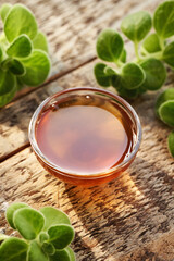 A bowl of Plectranthus or Coleus amboinicus syrup for common cold with fresh plant