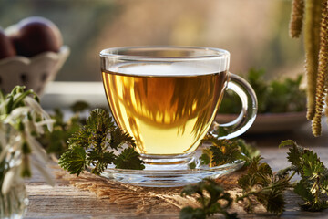 A cup of herbal tea with young stinging nettle leaves harvested in early spring