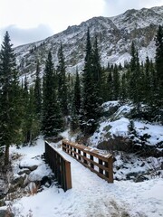 Snowy pass