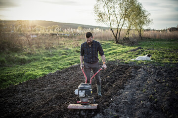 organic farming man ploughs the ground at sunset with a tiller preparing the soil for sowing