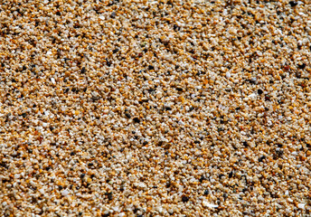 Close-up of sand with scattered small pebbles and shells, showcasing intricate natural textures and earthy details along the shoreline.