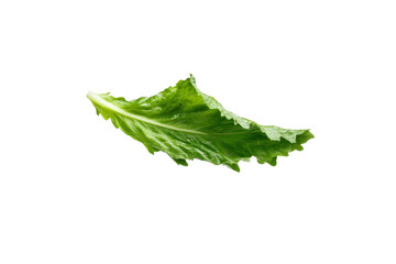 Leafy green vegetable is shown in the air, isolated