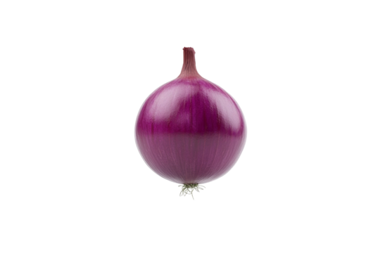 Large, round, purple onion is shown on a white background, isolated