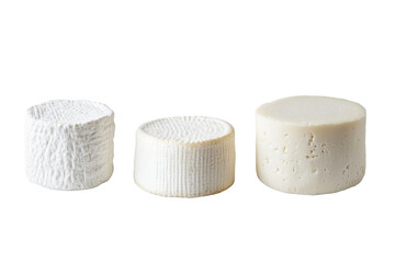 Three different types of cheese are shown in a row, isolated