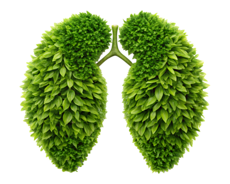 green plant in the form of a heart - Powered by Adobe