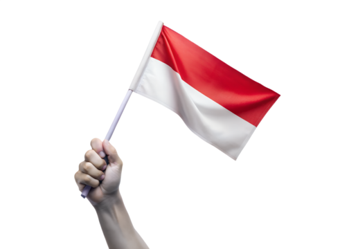 hand holding a flag of portugal